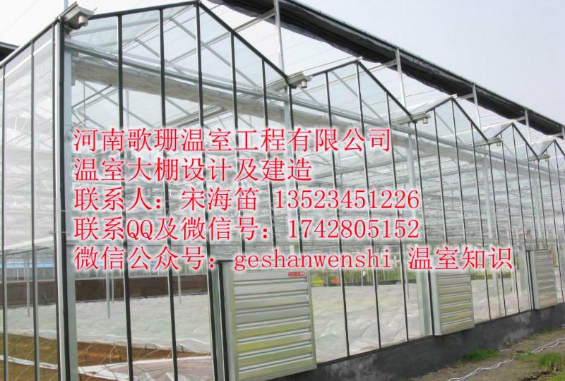 供应山东/安徽玻璃温室