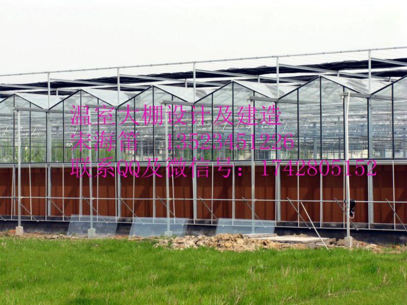 供应满洲里玻璃温室/黑龙江温室/黑龙江文洛型玻璃温室安装-歌珊温室