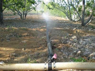 石家庄大禹灌溉供应大田园林节水灌溉多孔微喷带 喷水带图片