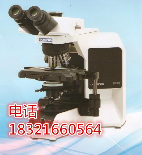 供应OLYMPUSBX43-32P02奥林巴斯显微镜