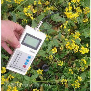 供应甘肃JPH3MST土壤温湿度记录仪土壤温湿度记录仪厂家