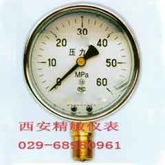 供应YB150N精密耐震压力表厂家-YB-150N精密耐震压力表图片