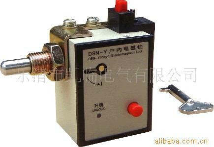 供应高低压户内电磁锁DSN-AM/电流100A/电压220V图片