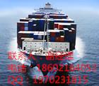供应上海到日本的国际货运公司/海运整箱+拼箱+散货