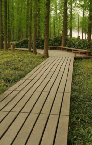 供应园林工程木材介绍园林木材选材