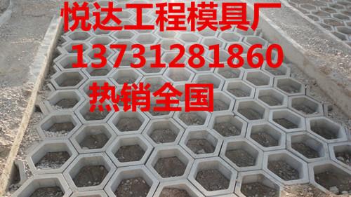 供应北京六角护坡模具供应商 图片