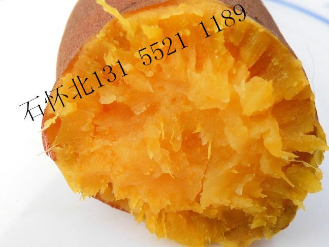 安徽优质红薯产地/优质地瓜供应商批发