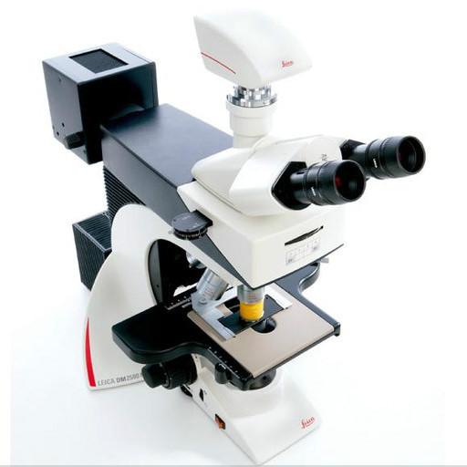 供应德国徕卡生物显微镜DM2500