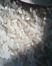 供应家用打米机 新型打米机 碾米机