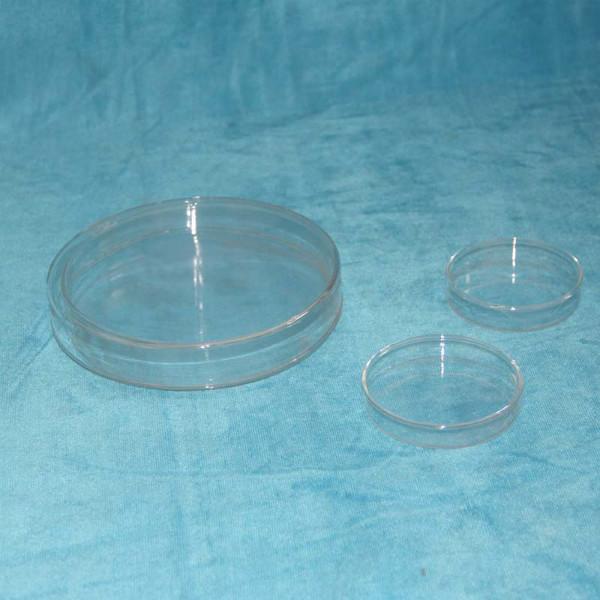 供应玻璃培养皿 培养皿 细菌培养皿 生物实验培养瓶 60MM