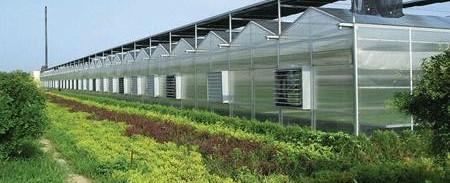 供应采光板温室花卉市场温室
