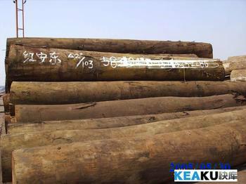 供应欧洲木材进口清关代理，广州黄埔港木材进口报关公司