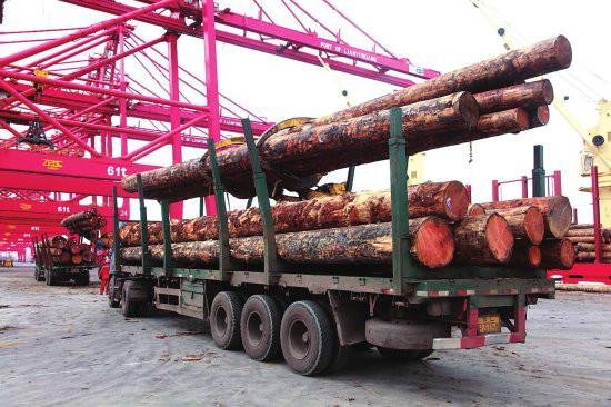 供应东南亚木材进口清关代理，广州黄埔港木材进口报关公司图片