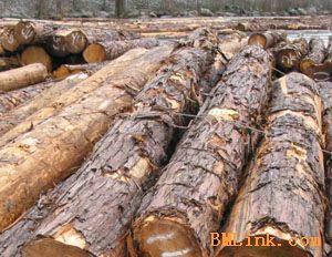 供应法国木材进口清关代理，广州黄埔港木材进口报关公司