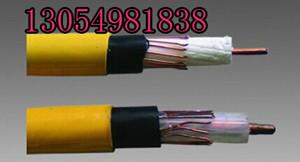 供应MSLYFVZ-75-9同轴电缆通信装置专用电缆批发矿用漏泄通信电缆厂家图片