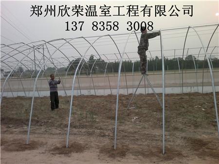 供应郑州蔬菜大棚安装 钢架食用菌拱棚建设