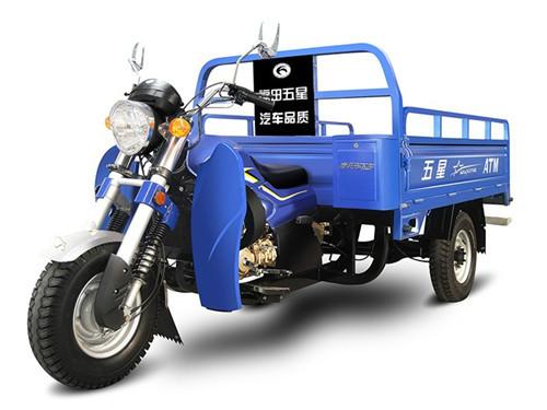 福田五星 150ZH-11(JC)货运三轮摩托车 正三轮摩托图片