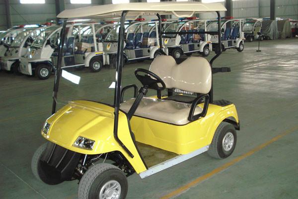 供应广西益高2座电动高尔夫车进口核心部件型号：EG2028K图片