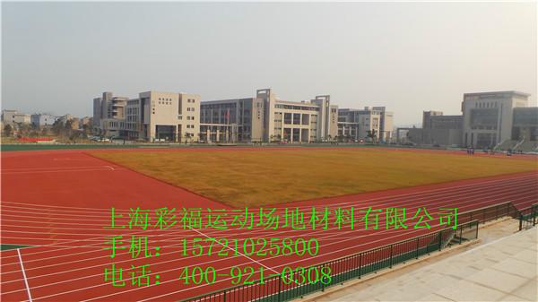 上海市焦作优质塑胶跑道施工报价sj-13mm厂家