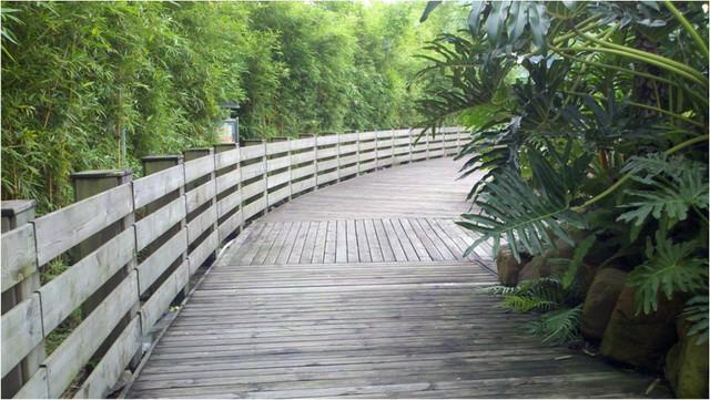 供应郴州防腐木木桥，郴州芬兰木木桥，丰盛防腐木