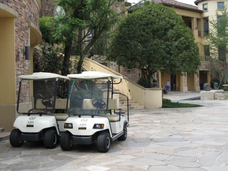 供应深圳高尔夫球车绿通公司厂家直销 E-Z-GO同配置高尔夫球车