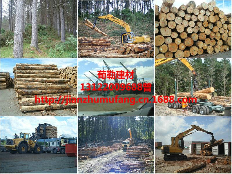 供应进口建筑木方