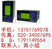 供应SWP-LCD智能数字仪表