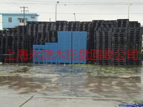 上海塑料垫仓板回收批发