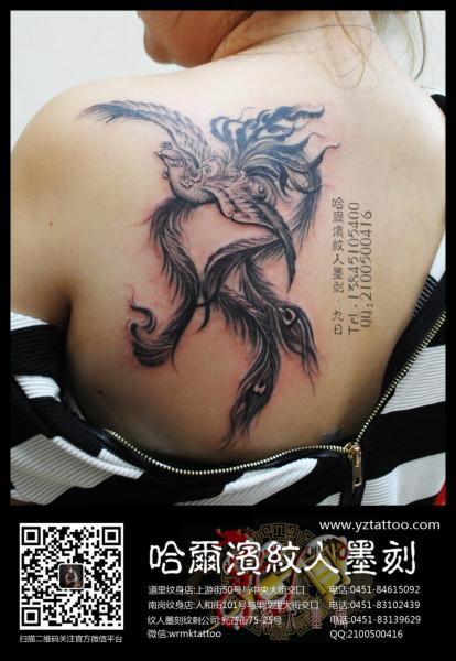 供应哈尔滨纹身传统纹身肩胛凤凰