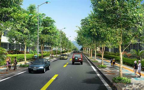 供应道路景观绿化养护， 上海道路绿化设计公司，上海道路绿化公司报价图片