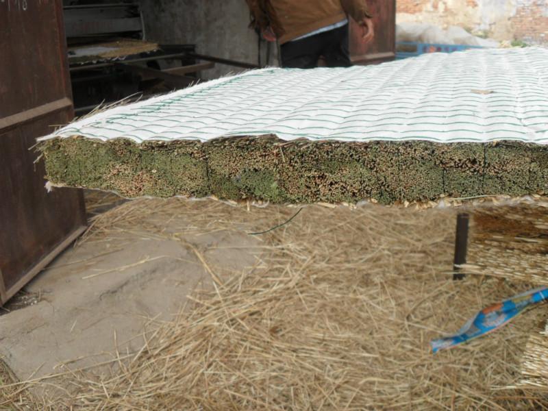 供应批发东北野生乌拉草，用于制造床垫、鞋垫、草编工艺品