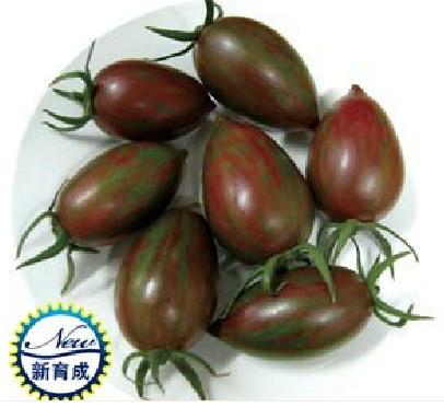 供应进口黑宝-黑番茄种子,特色黑番茄种子，台湾黑番茄种子图片