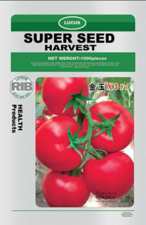 番茄种子，番茄种子 价格，粉果番茄种子 金玉X3F1番茄种子图片