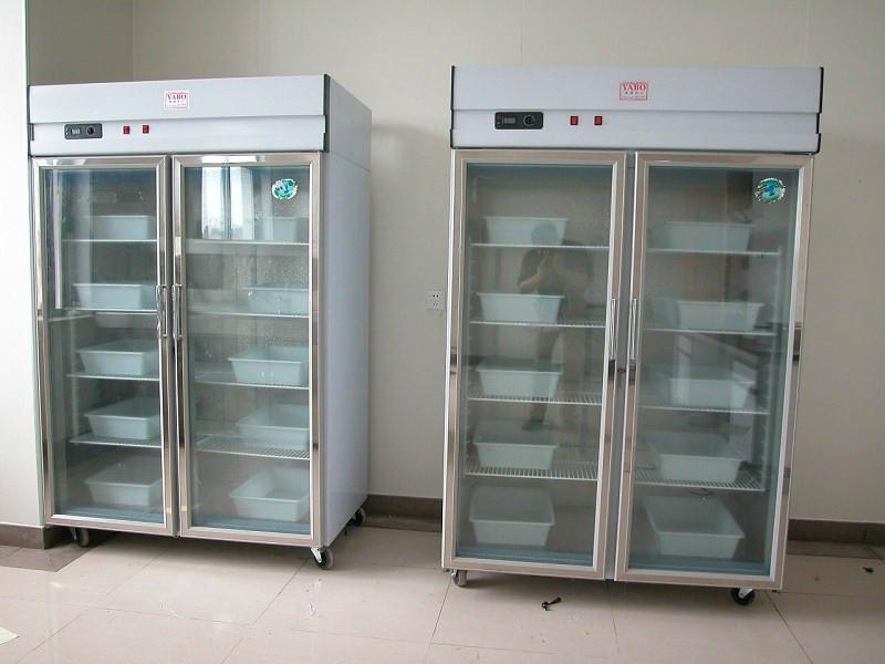 供应茶叶冷柜 玻璃门展示柜哪里有卖的 饮料冷柜价格