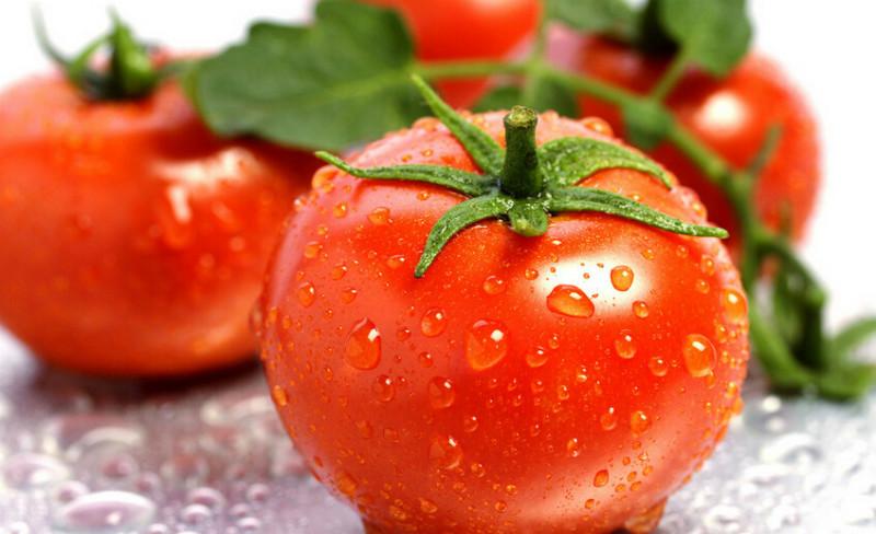 西红柿供应西红柿