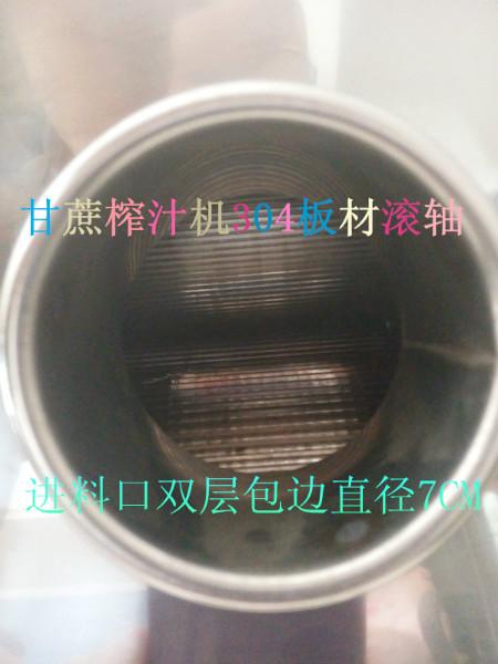 供应湛江市哪里有卖电动甘蔗榨汁机
