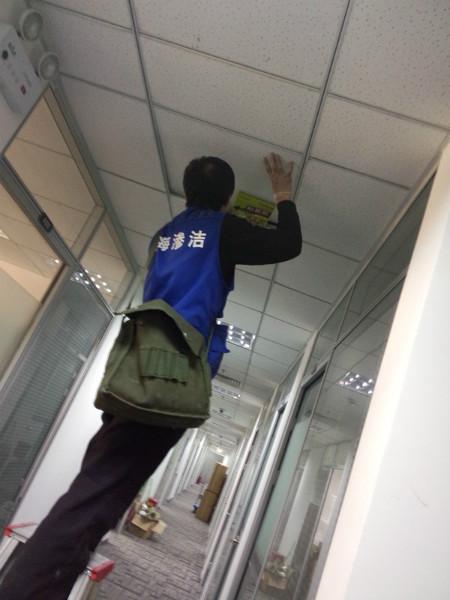 上海正规上门灭老鼠公司电话，正规灭鼠抓老鼠除鼠公司图片