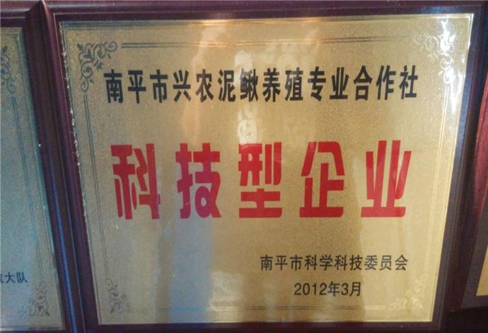 供应兴农泥鳅养殖基地2015年泥鳅苗预售图片