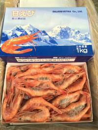 供应华威食品进口俄罗斯生冻甜虾图片