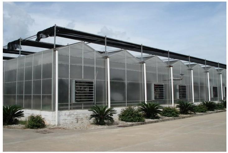 温室大棚价格优质的阳光板温室大棚,阳光板温室大棚馈
