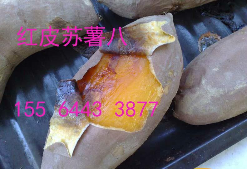 供应上海烟薯25批发，上海电烤红薯批发，上海蜜薯厂家，上海烟薯25价格