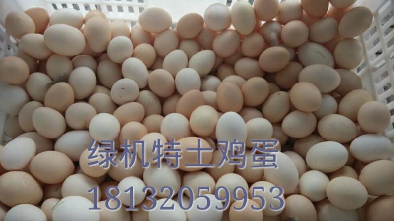 【鸡蛋托盘】鸡蛋托盘价格_鸡蛋托盘批发市场