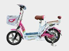 供应电动自行车价钱多少，天津电动车批发厂家