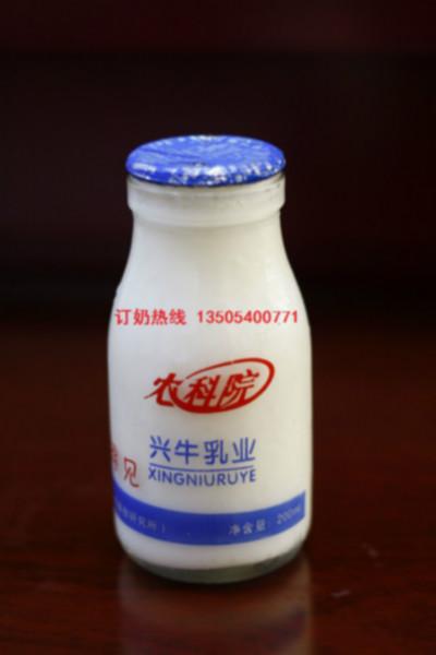 供应配送牛奶农科院原味酸牛奶