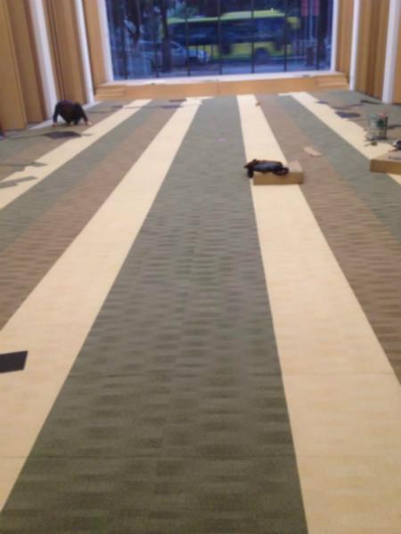 供应拍卖大厅使用的地毯，韩津方块地毯