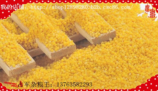 供应齐市礼盒黄小米 东北小米 小米厂家价格 小米产地价格 小米批发价格