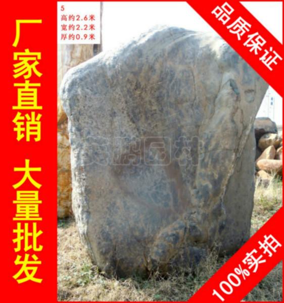 供应用于园林景观石的广东江门大型青石