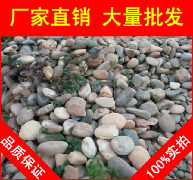 供应用于园林景观石的惠州杂色鹅卵石，广州花基砌边鹅卵石，大量现货批发