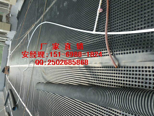6公分蓄排水板厂家\北京地下室6公分排水板生产线