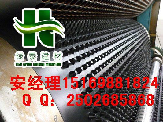 6公分蓄排水板厂家\北京地下室6公分排水板生产线